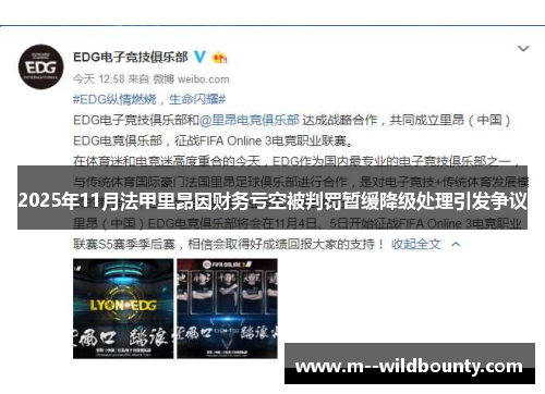 2025年11月法甲里昂因财务亏空被判罚暂缓降级处理引发争议 2025年11月法甲里昂因财务亏空被判罚暂缓降级处理引发争议