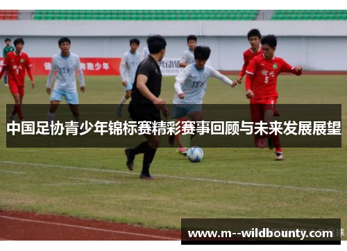 中国足协青少年锦标赛精彩赛事回顾与未来发展展望